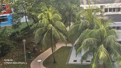 Blk 768 Pasir Ris Street 71 (Pasir Ris), HDB 4 Rooms #612700361